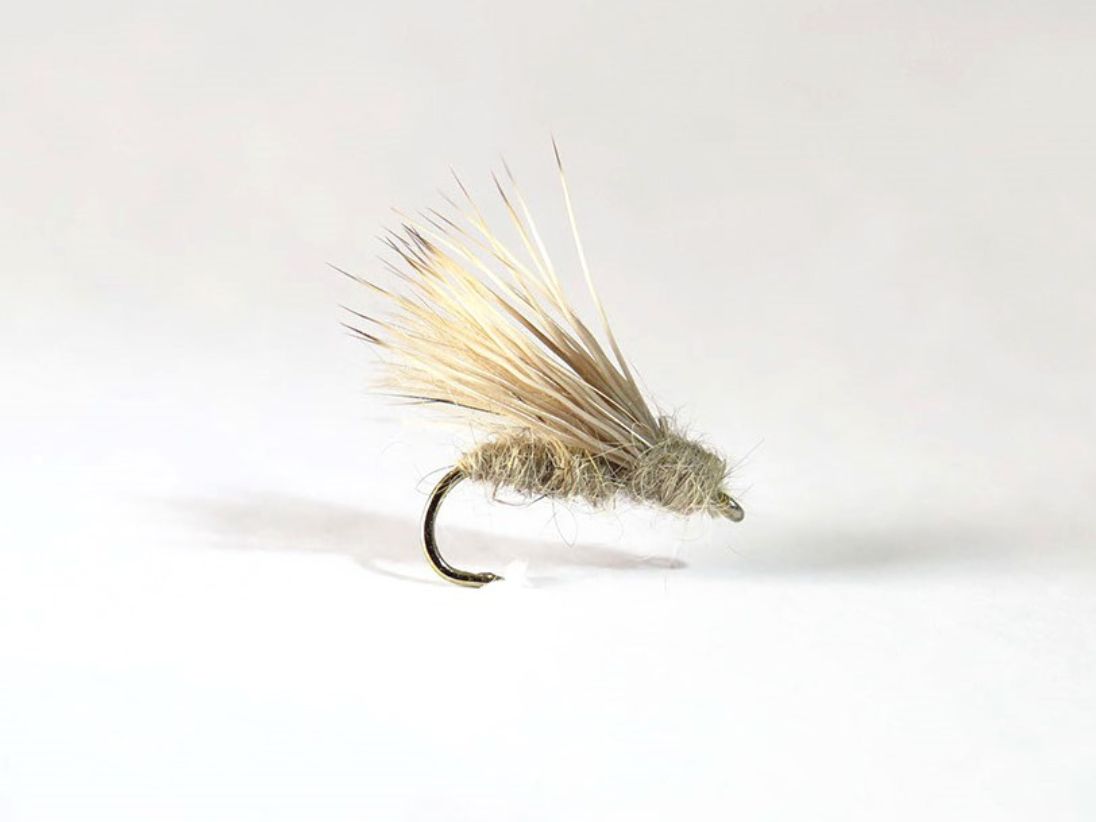 Sedge Chevreuil - Taille 12 à 14